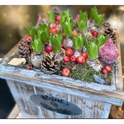 Kerst Bak met Hyacinten