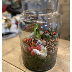 Kerst Amaryllis in glas